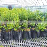 Plastic Root Control Container/pot for Garden Tools thumbnail-3