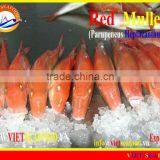 FROZEN W/R RED MULLET thumbnail-3