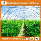 Heracles Trade Saaurance Good Quality Greenhouses Cover -uv Treated Plastic Film Greenhouse thumbnail-2