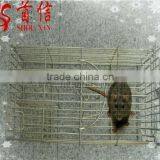 Human Catch Mouse/Rat Trap SX-5012 thumbnail-3