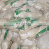 Vegetable Garden Netting pp Trellis Netting for Tomato thumbnail-5