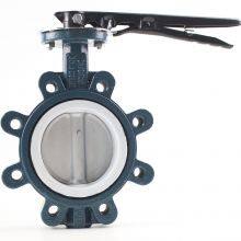 Lug Type PTFE Lined Wafer Manual Butterfly Valve thumbnail-1