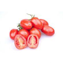 Hybrid Chinese Factory Supply Plum Red Cherry Tomato Seeds for Planting thumbnail-2