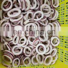 High Quality Frozen Illex Todarodes Black Squid Ring Wholesale EU thumbnail-3