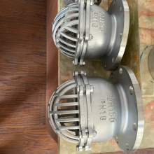 DN125 PN16 Cast Iron Steel Stainless Steel Flange Water Pump Foot Valve With 304 Strainer Check Foot Valve thumbnail-5
