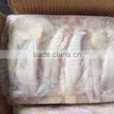 Frozen illex squid roe