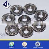 Best Selling Large Serrated Flange Nut