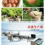 High Quality Stainless Egg Cleaning Grading Machine for Egg Farmers From China thumbnail-1
