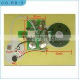 Sound Module for Greeting Cards/music Module/recording Module/USB Modules/cheap Sound Module for Cards thumbnail-1