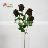 Hot Sale European Style Black Rose Flower Plants thumbnail-2