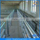 Beef Processing Facility Cow Slaughter thumbnail-2