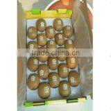 Fresh Gold Kiwi thumbnail-3