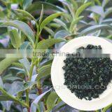 Good Quality Oolong Tea - High Grade Vietnam Oolong Tea thumbnail-2