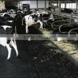 Black Mat Easy Clean Eva Horse Mat thumbnail-4