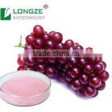 High-quality Sprayed-Dried Grape Juice Fruit Powder Vitis Vinifera Powder for Food and Beverage