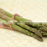Frozen Asparagus, IQF Asparagus thumbnail-5