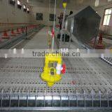 Auto Hen House Poultry Facility