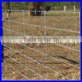 Cheap! Hot Dip/ Electric Galvanized Double Twist Barbed Wire Fencing Real Factory (ISO) thumbnail-5