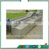 Strawberry Processing Pretreatment System thumbnail-6