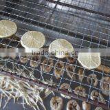 Shenghui Professional and Affordable Small Fruit Freeze Drying Machine/fish Drying Machine/food Drying Machine thumbnail-6