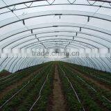 Multi Span PE Cover Film PE Greemhouse Film for Vegetable Greenhouse thumbnail-2