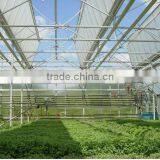 Galvanized Steel Pipes Greenhouse Covered BY Tempered Glass For Agriculture /Commercial thumbnail-3