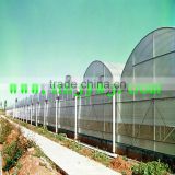 Span plastic greenhouse