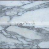 Arabescato Corchia white marble slab