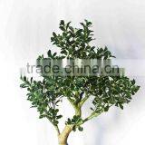 Decorative Pot Trees thumbnail-1