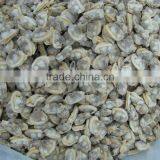 Seafood Frozen Canned Baby Clam thumbnail-2