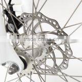 Hot Selling Cheap Electric Bike Mini Folding Electric Bike With Hiddden Battery thumbnail-5