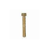 Special Metal Screws, Brass Hardware Screw Threaded Metal Fastener ISO, DIN, JIS, BS, ANSI Standard thumbnail-1