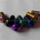 Titanium Screws