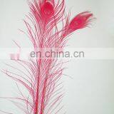Top Quality Pink 80cm-90cm Peacock Feather thumbnail-1