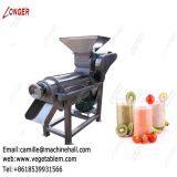 Fruit Juice Making Equipment|Vegetable Juice Extractor Manufacturer|Commercial Fruit Juicer Machine for Pineapple Grape thumbnail-4
