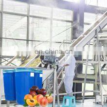 Fruit Jam Machines a Fabriquer la Compote de Production Line