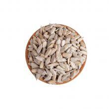 FSD- Soybean Baking Machine/Electromagnetic Baking Machine/seed Baking Machine thumbnail-4