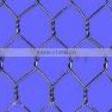 Anping Hexagonal Wire Mesh