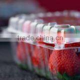 APT-540/760 Automatic OPS Blister Thermoforming Machine With In-mold Trimming thumbnail-4