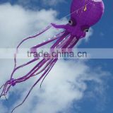 60m octopus kite