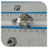Best Quality!!! DIN2999/BSPT/BSPP 1inch Solid Plug Made From Hex Barb