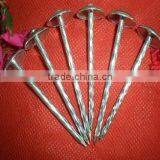 2.5" Roofing Nails thumbnail-1