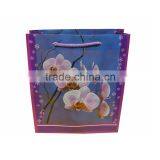 Promotional High Quality Colorful PP Gift Shopping Bags (BLY4-1625PP) thumbnail-6