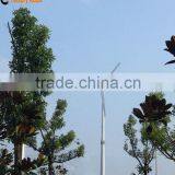 Horizontal Axis Wind Turbine Generator 20kW System