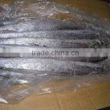 FROZEN RIBBON FISH thumbnail-1