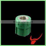 Factory Directly Welcome Sales Price Lowest Price Female Tooth Socket Enjoy Products thumbnail-3