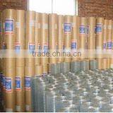 Electro Galvanized 1/4 Inch Welded Wire Mesh in Rolls(Manufacturer)