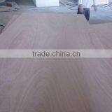 Okoume/Bintangore Plywood thumbnail-6