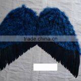 WING FEATHER