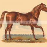 George Frederick 12x18 Giclee on Canvas thumbnail-1